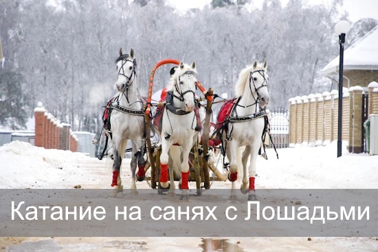 Катание на санях с Лошадьми