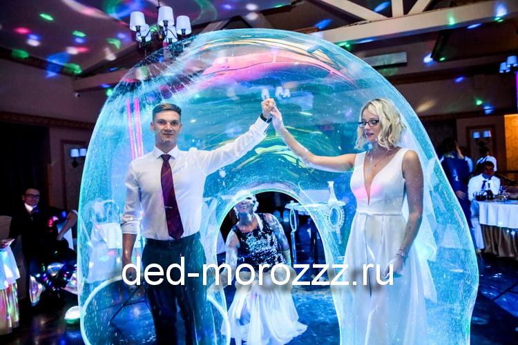 Новогоднее Шоу Мыльных пузырей с Дедом Морозом и Снегурочкой