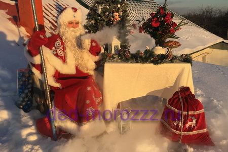 Дед Мороз и Снегурочка c сухим льдом