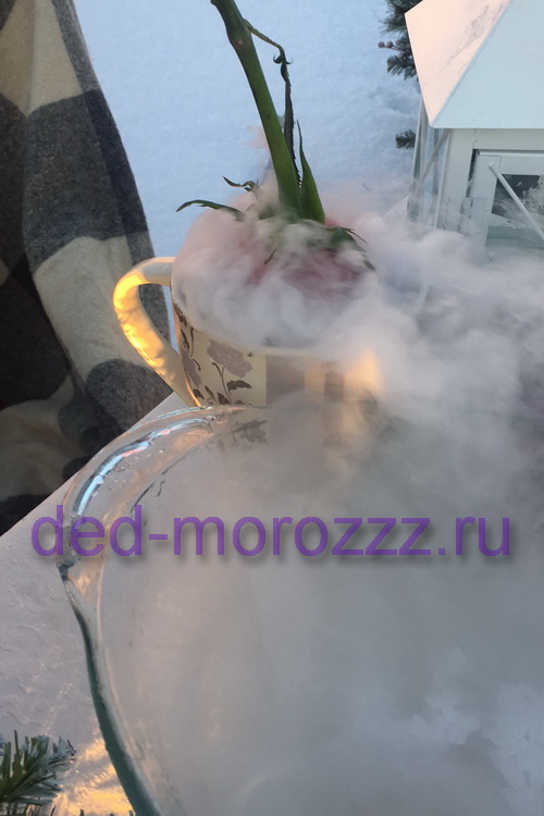 Дед Мороз и Снегурочка c сухим льдом