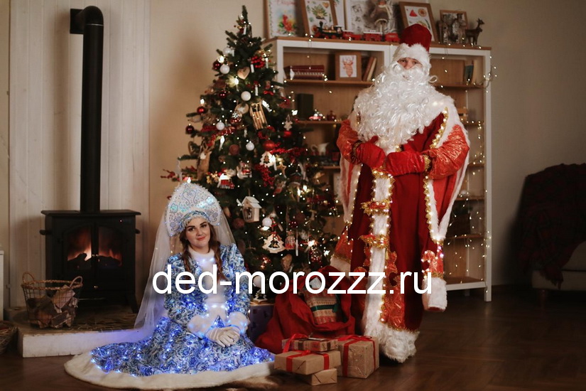 Дед Мороз и Снегурочка с диодным шоу
