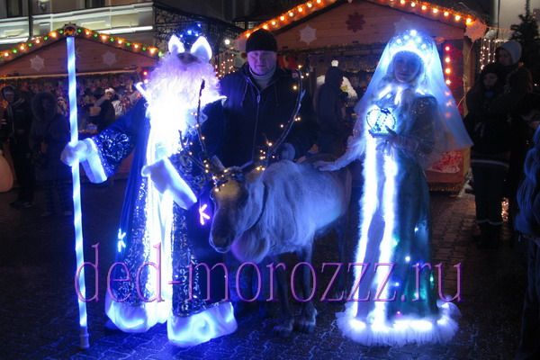 Дед Мороз и Снегурочка с диодным шоу
