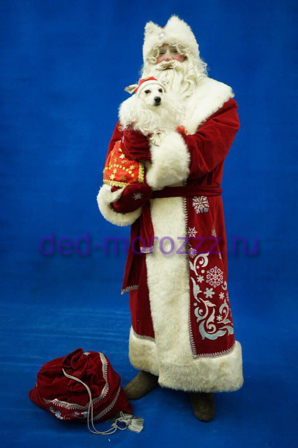 Дед Мороз и Снегурочка с Собачками