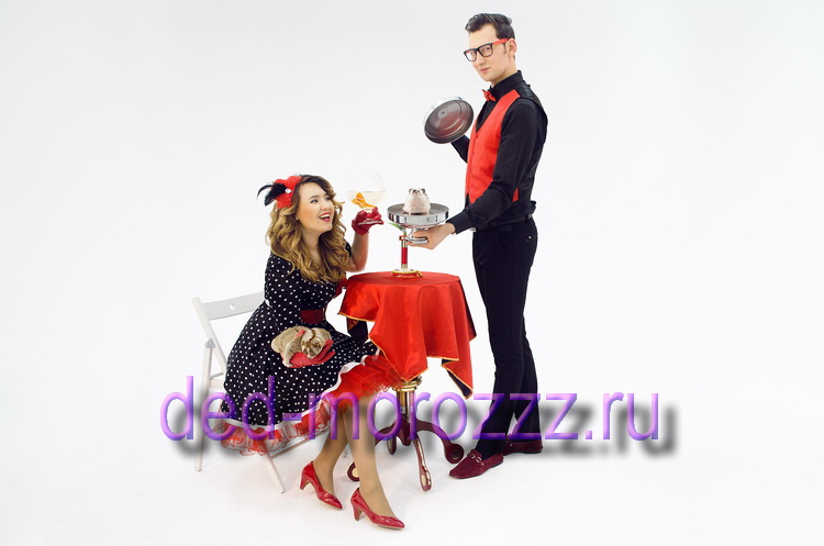 Иллюзионное шоу с животными