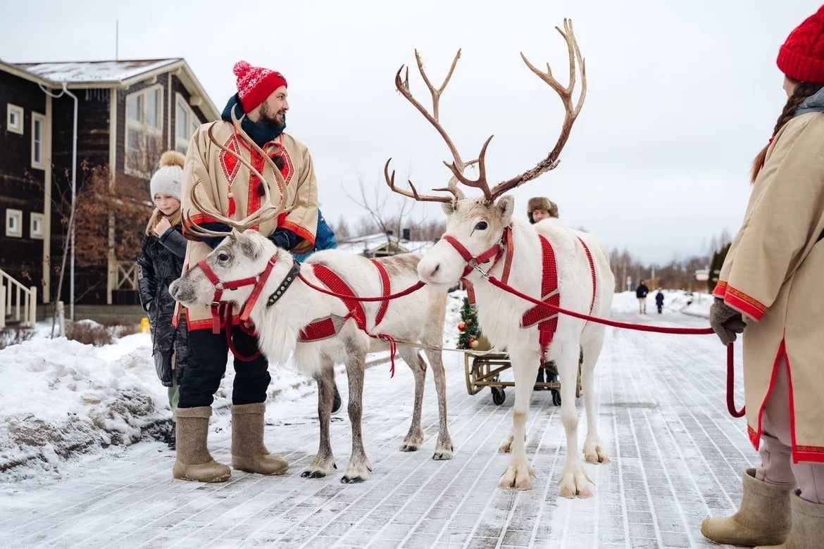 Катание на санях с Оленями