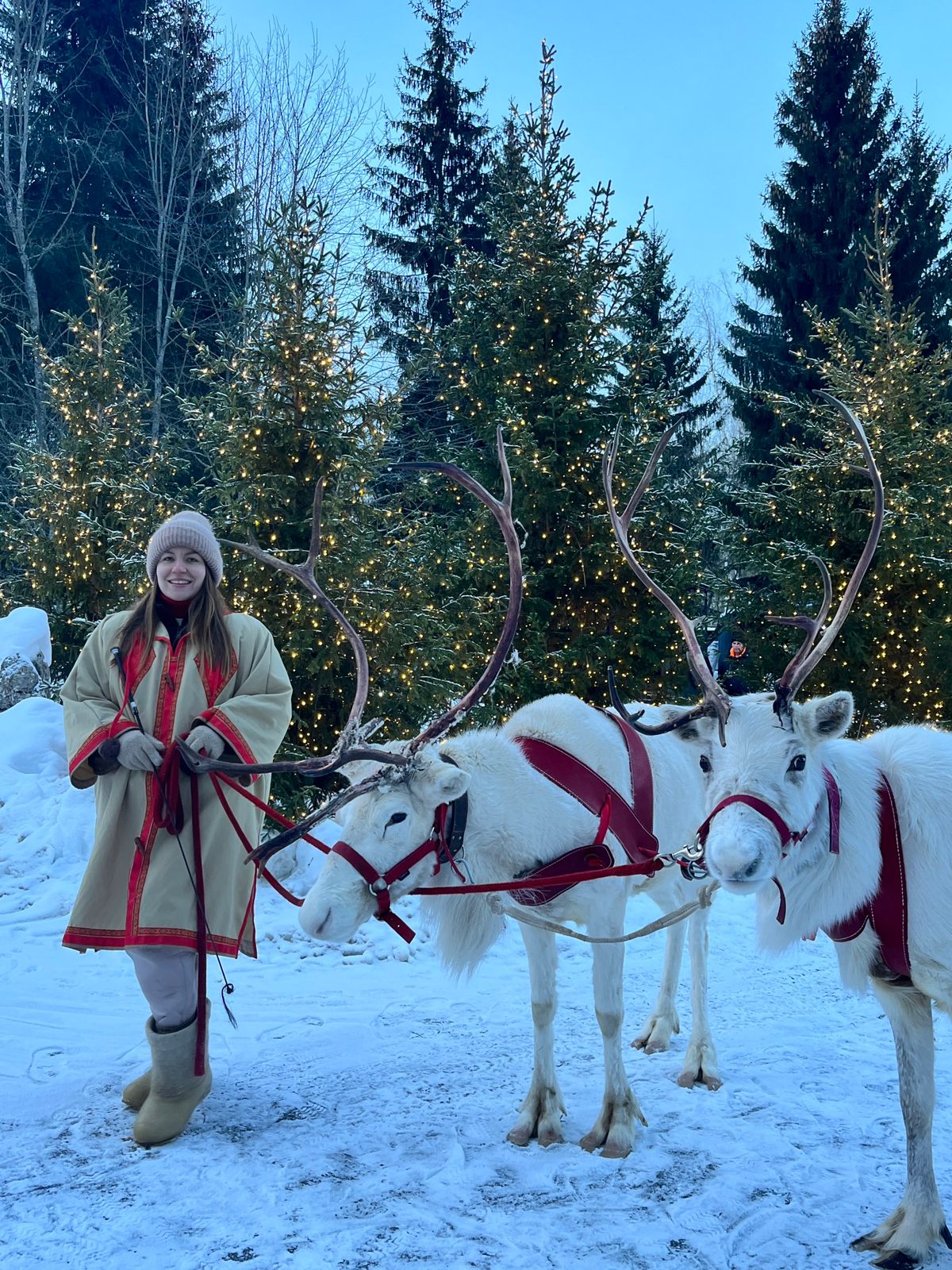 Катание на санях с Оленями