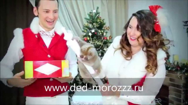 Иллюзион с Лемуром