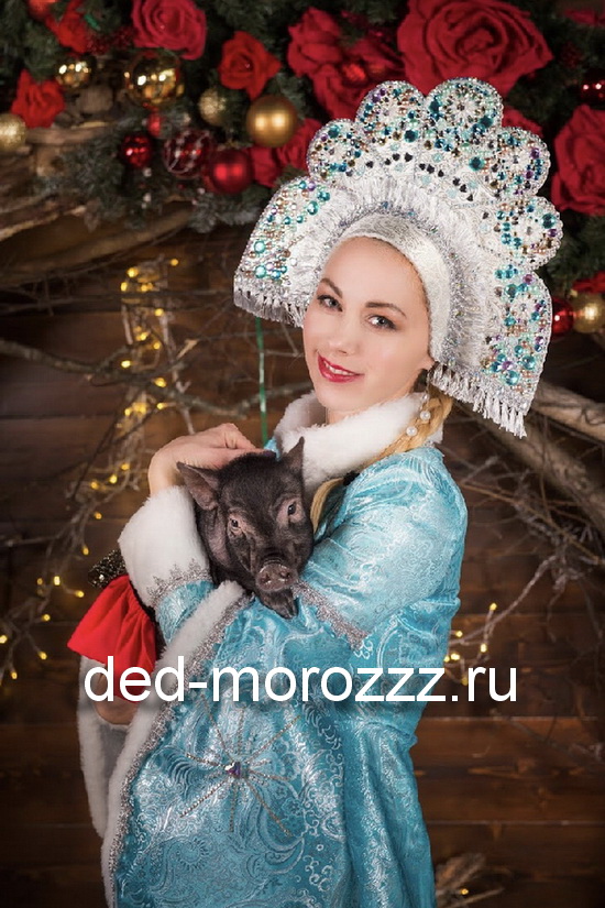 Мини Пиг шоу с Дедом Морозом и Снегурочкой