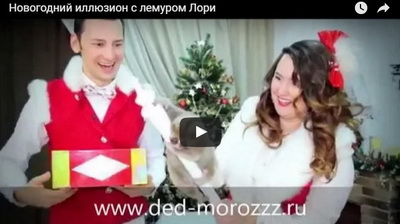 Новогоднее иллюзионное шоу с животными