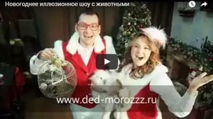 Новогоднее иллюзионное шоу с животными