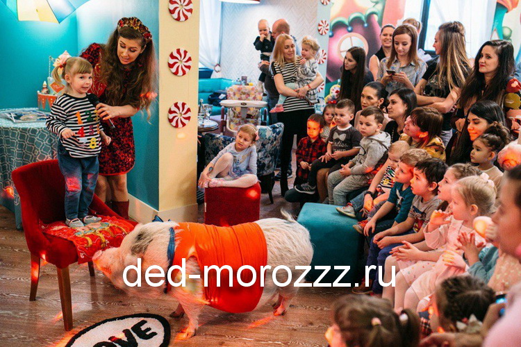 новогоднее пигги шоу