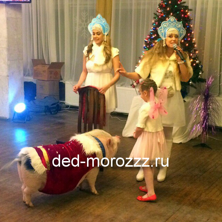 новогоднее пигги шоу