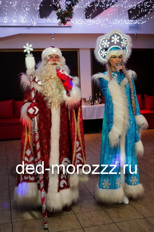 Диодное шоу от Деда Мороза и Снегурочки