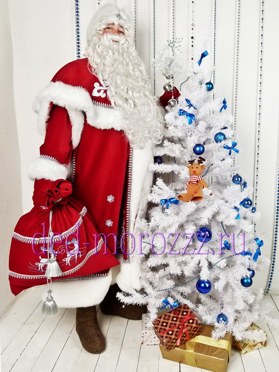 VIP Дед Мороз и Снегурочка Андрей и Настя