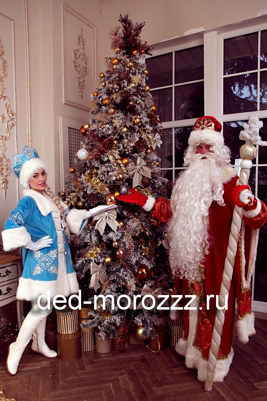 VIP Дед Мороз и Снегурочка: Илья и Ольга