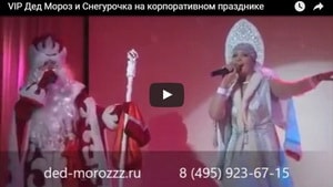 VIP Дед Мороз и Снегурочка на корпоративном празднике
