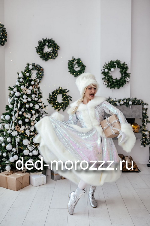 VIP Дед Мороз Олег и Снегурочка Юлия