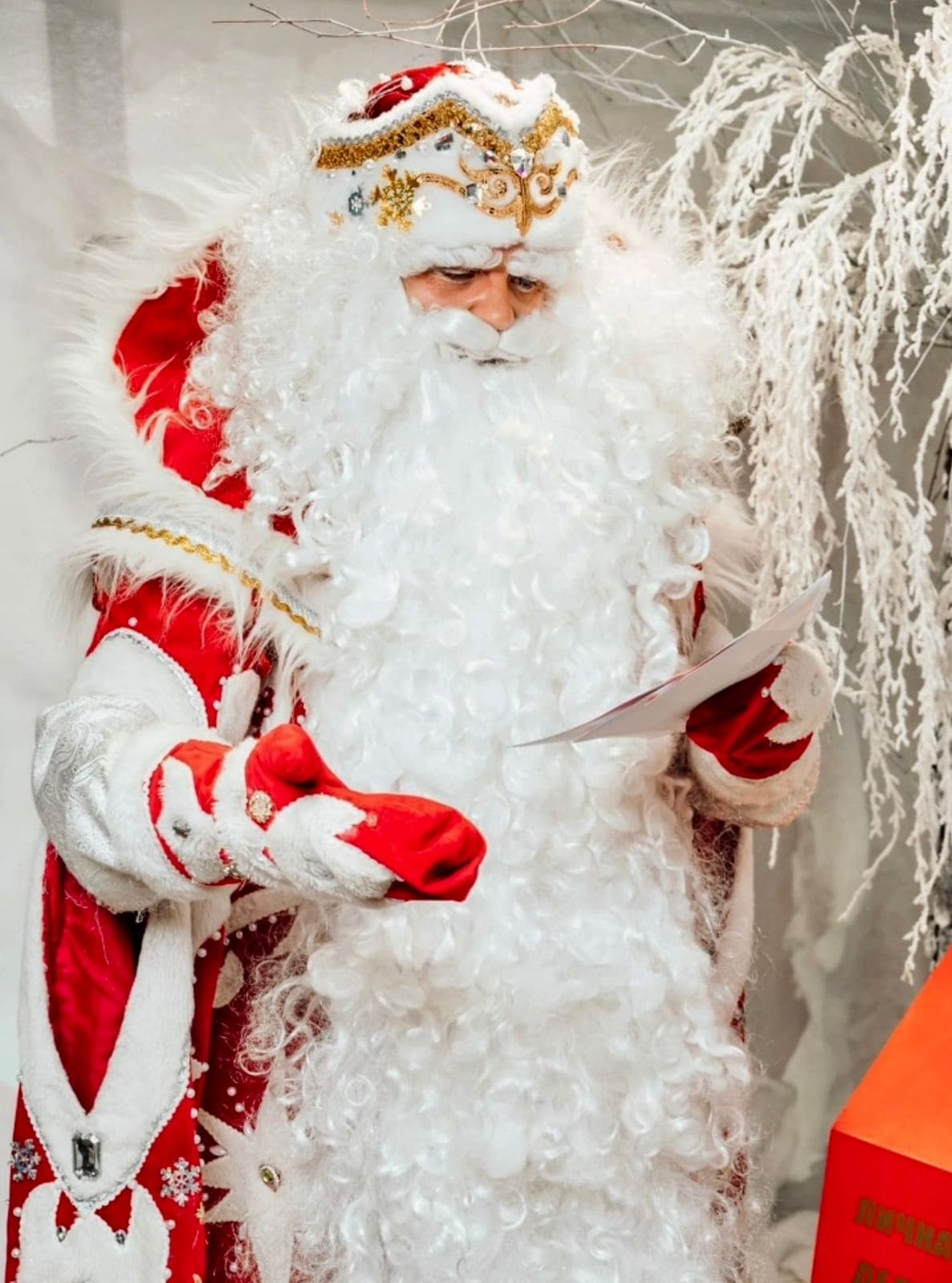 VIP Дед Мороз и Снегурочка: Сергей и Анастасия