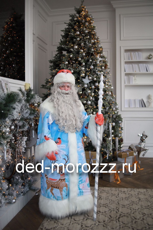 VIP Дед Мороз и Снегурочка Станислав и Полина