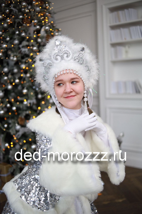 VIP Дед Мороз и Снегурочка Станислав и Полина