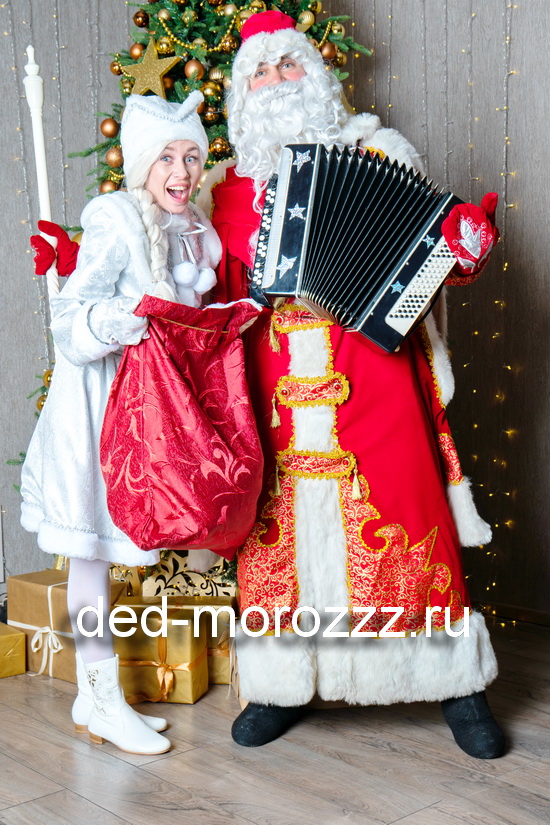 VIP Дед Мороз Юрий и Ирина